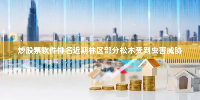 炒股票软件排名近期林区部分松木受到虫害威胁