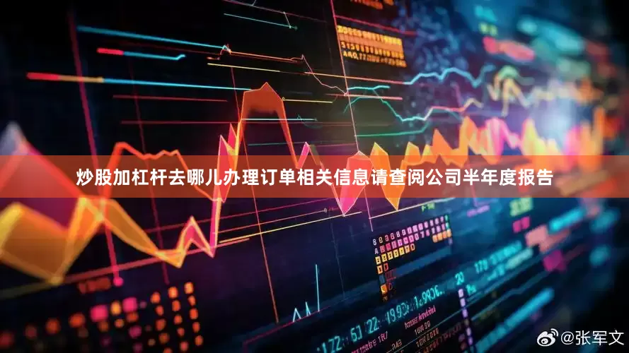 炒股加杠杆去哪儿办理订单相关信息请查阅公司半年度报告